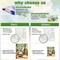 Paint By Number Kits for Adults – Cat DIY Acrylic Paint by Numbers on Canvas for Teens & Beginners, Easy Wall Art Painting Kit for Home Decor & Gift, 16x20 Inch (Unframed)